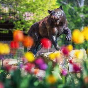 Meet your Posher, Tracey